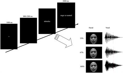 Emotional Intensity Modulates the Integration of Bimodal Angry Expressions: ERP Evidence